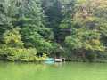 Property photo 50