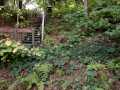 Property photo 52