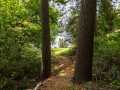 Property photo 56