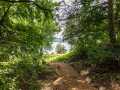 Property photo 57