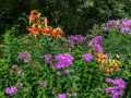Property photo 59