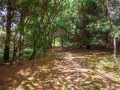 Property photo 53