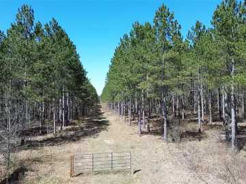 Barnes, WI: N/A Ellison Lake Road