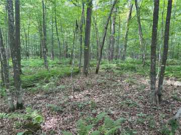 Birchwood, WI: 0 28 7/16-28 9/16 Street