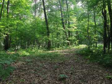 Frederic, WI: Lot 11 103rd Street Streets