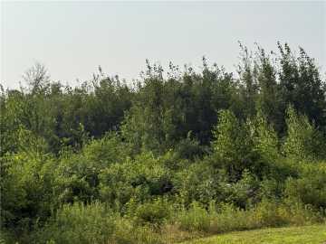 Chetek, WI: 5 acres 11th Ave