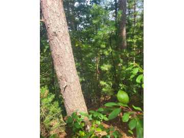Black River Falls, WI: Lot 2 Betty Lane