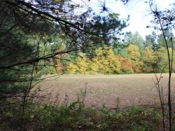 Siren, WI: Lot 2 Tewalt Road
