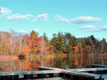 Cameron, WI: 56 11 1/8 Avenue