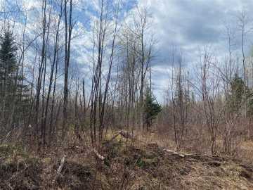 Phillips, WI: Near Wilson Lake Road 