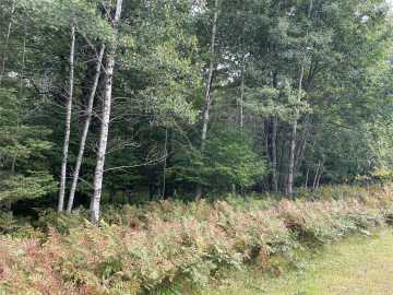 Hayward, WI: Lot 8 Hermosa Lane