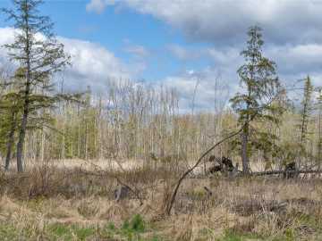 Glen Flora, WI: 40 Acres Anderson Road & School Road