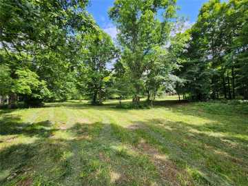 Birchwood, WI: 7 Acres Countyy Highway F 