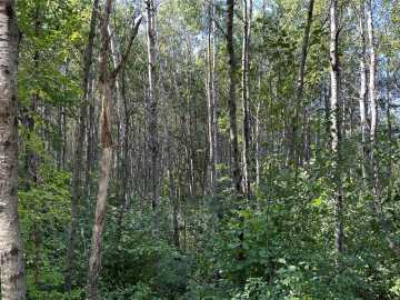 Bennett, WI: Near Town Line Road 