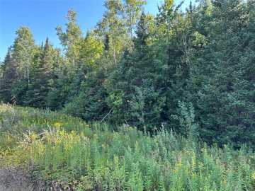 Lake Nebagamon, WI: On Highway 53 