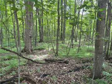 Birchwood, WI: 0 29 1/2 Ave Street