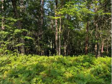 Rusk, WI: xxx Dock Lake Road