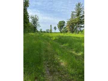 Bruce, WI: 81 acres Pinnow Road