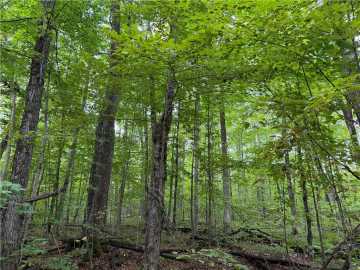 Lake Nebagamon, WI: 9598 E County Road L 