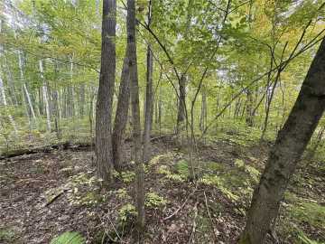 Holcombe, WI: TBD 282nd Avenue