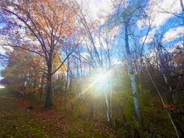 Clear Lake, WI: Lot 4 320th Street