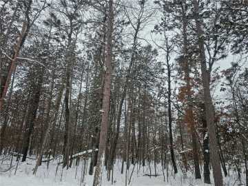 Danbury, WI: Lot 7 Long Lake Road