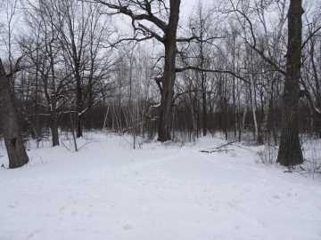 Milltown, WI: XXX 150th Street