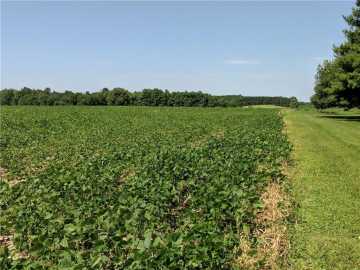 Glen Flora, WI: 40 acres County Rd B West 