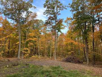 Stone Lake, WI: 15846 W Pank Road