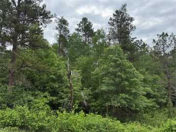 Barnes, WI: Lot 51 Aspen Lane