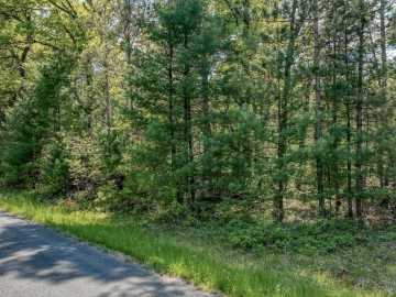 Willard, WI: 8667 Lakeside Road