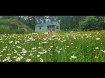 Trego, WI: 11116 N Blackberry Road
