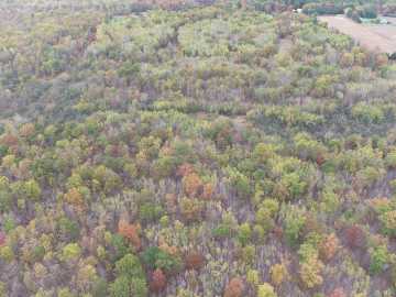 Cadott, WI: 0 20th Avenue