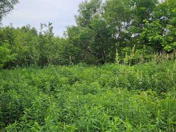 Hayward, WI: Lot C Windrose Lane