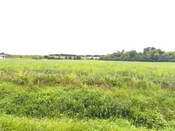 Osseo, WI: Lot 2 Van Tassel Rd 