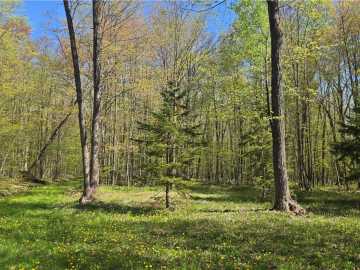 Conrath, WI: N 900 Joes Road