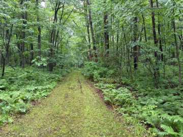 Frederic, WI: 1749 350th Avenue