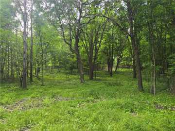 Amery, WI: XXX 120th Avenue