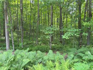Birchwood, WI: 0 29 1/2 Ave Street