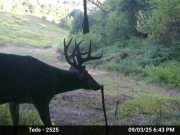 Strum, WI: N45211 Franson Rd N Roads