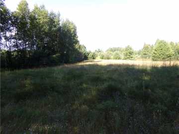 Lake Nebagamon, WI: 7581 S Marsik Lot 4 Road