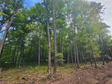Webster, WI: Lot 5 County Rd A 