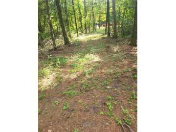 Black River Falls, WI: Lot 4 Betty Lane