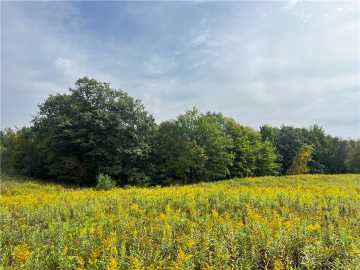 Weyerhaeuser, WI: 0 Old 14 Rd 