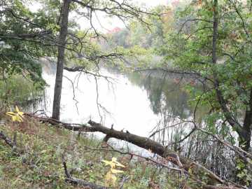 Webster, WI: XXX Norman's Landing Road