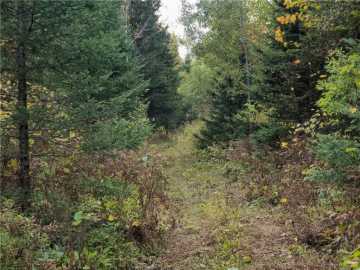 Butternut, WI: 72429 Bear Lake Road