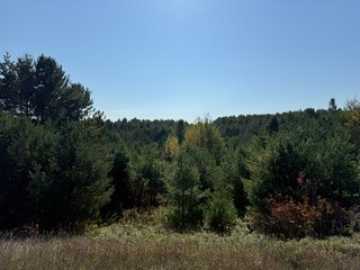 Cable, WI: Lot 1 CSM 1833 County Highway M