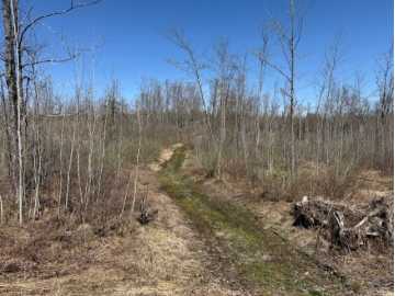 Ojibwa, WI: 4819N Horse Creek Trail