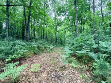 Hayward, WI: 8827 N Norwis Road