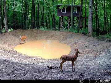 Downing, WI: XX County Road Q 